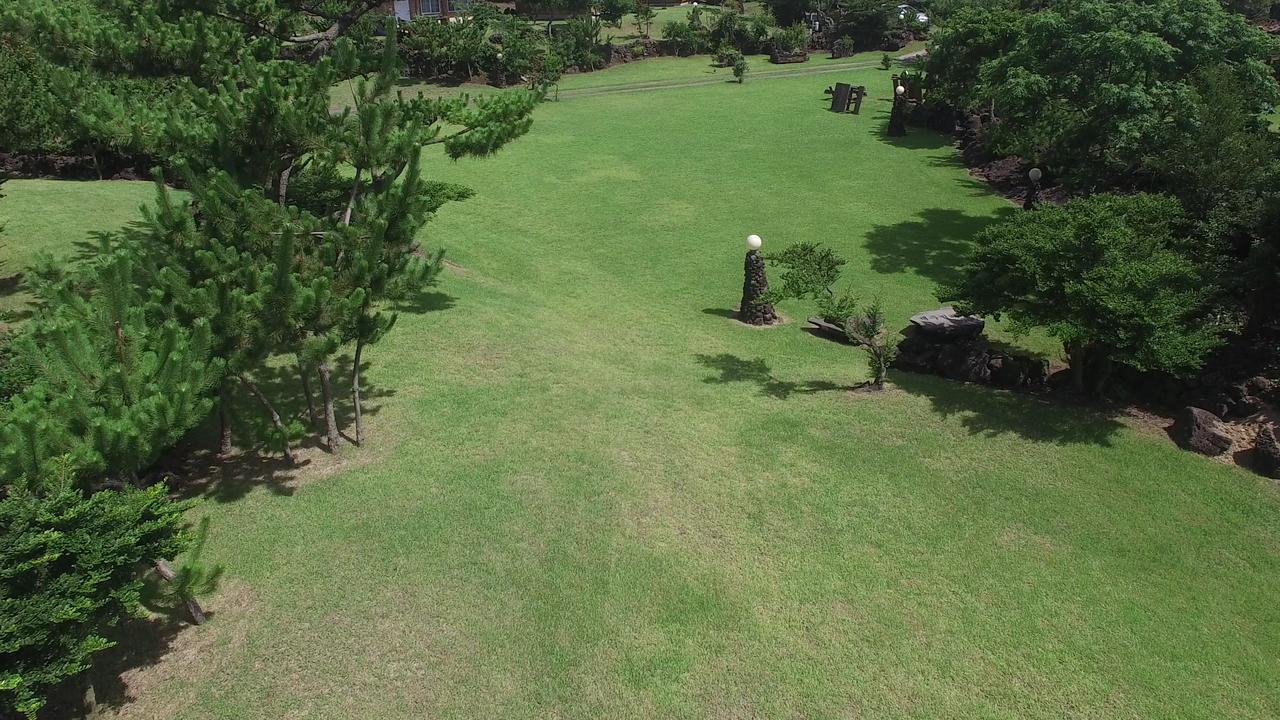 Jeju Bille Log Pension Seogwipo-stad Buitenkant foto