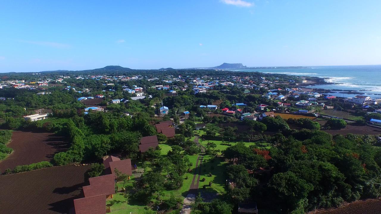 Jeju Bille Log Pension Seogwipo-stad Buitenkant foto